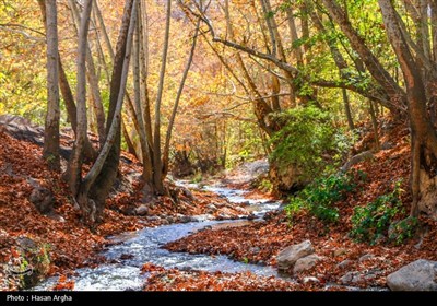 8 مرداد روز ملی زنجان