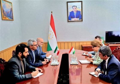 رایزنی بقائی با وزیر فرهنگ تاجیکستان