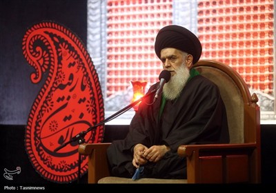 عزاداری زائران حرم بانوی کرامت در شب شهادت حضرت رقیه(س)
