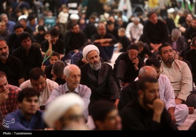 عزاداری زائران حرم بانوی کرامت در شب شهادت حضرت رقیه(س)