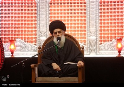 عزاداری زائران حرم بانوی کرامت در شب شهادت حضرت رقیه(س)
