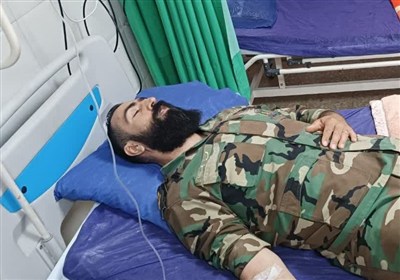 طبيعي،منابع،حفاظت،يگان،البرز،چوب،استان،تاغ،آبخيزداري،قاچاقچي ...