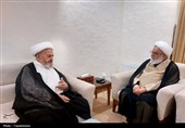 آیتالله سبحانی: دروس آزاد حوزه تقویت و انتخاب آزاد استاد برای طلاب تسهیل شود