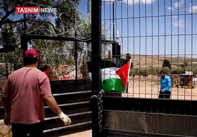 راهکار خانواده فلسطینی برای حفاظت در برابر حملات صهیونیست‌های شهرک‌نشین
