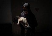 EU Faces Pressure As Gaza Humanitarian Crisis Deepens under Israeli Siege