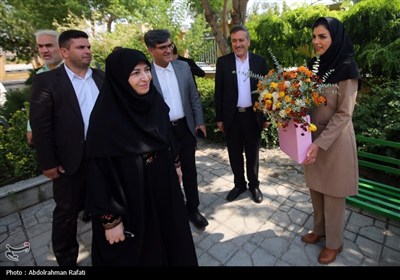 سفر رئیس سازمان محیط زیست به همدان