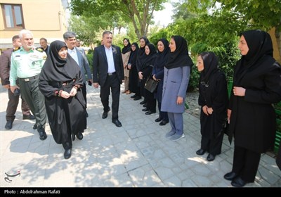 سفر رئیس سازمان محیط زیست به همدان