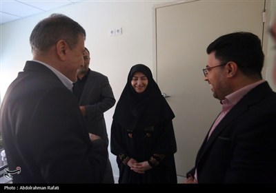 سفر رئیس سازمان محیط زیست به همدان