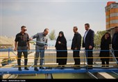 سفر رئیس سازمان محیط زیست به همدان