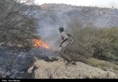 مهار بیش از 70 درصد آتش منطقه کوهستانی گیسکان دشتستان+تصویر