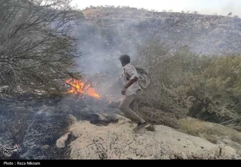 مهار بیش از 70 درصد آتش منطقه کوهستانی گیسکان دشتستان+تصویر