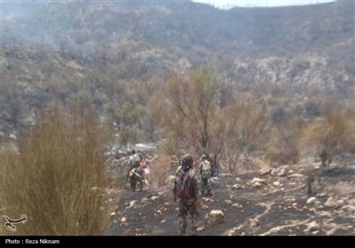 آتش‌سوزی در مراتع منطقه کوهستانی گیسکان دشتستان