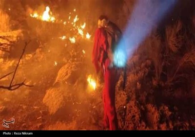 مهار 2 کانون آتش‌سوزی در کوهستان گیسکان دشتستان