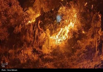 مهار 2 کانون آتش‌سوزی در کوهستان گیسکان دشتستان
