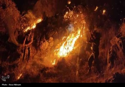 مهار 2 کانون آتش‌سوزی در کوهستان گیسکان دشتستان