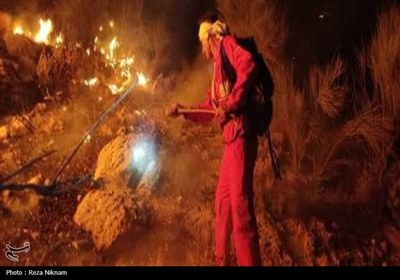 مهار 2 کانون آتش‌سوزی در کوهستان گیسکان دشتستان