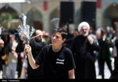 حال و هوای حرم حضرت معصومه(س) در سالروز شهادت امام حسن(ع)+ تصویر