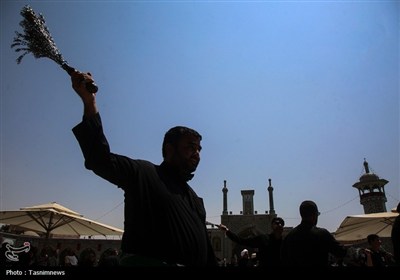 دستجات عزاداری سالروز شهادت امام حسن (ع) در حرم حضرت معصومه(س)