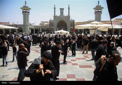 دستجات عزاداری سالروز شهادت امام حسن (ع) در حرم حضرت معصومه(س)