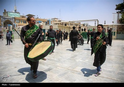 دستجات عزاداری سالروز شهادت امام حسن (ع) در حرم حضرت معصومه(س)