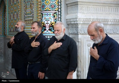 دستجات عزاداری سالروز شهادت امام حسن (ع) در حرم حضرت معصومه(س)