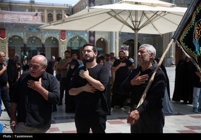 دستجات عزاداری سالروز شهادت امام حسن (ع) در حرم حضرت معصومه(س)