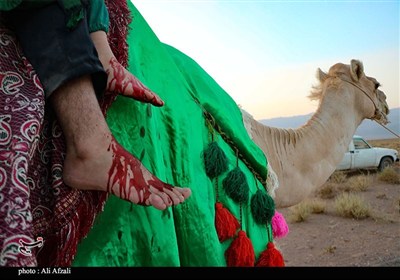 حرکت نمادین ورود کاروان اسرای کربلا به شام در ده‌زیار کرمان