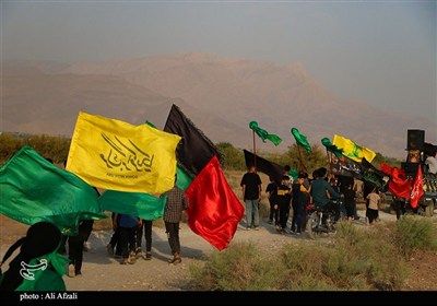 حرکت نمادین ورود کاروان اسرای کربلا به شام در ده‌زیار کرمان