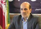 اشتغال 48 درصد خانوارهای لاهیجان وابسته به شالیزارهاست