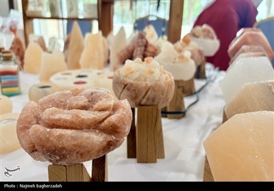 رویداد کندو در بندرعباس