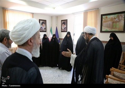 دیدار همسر شهید سلامی با مدیر حوزه‌های خواهران