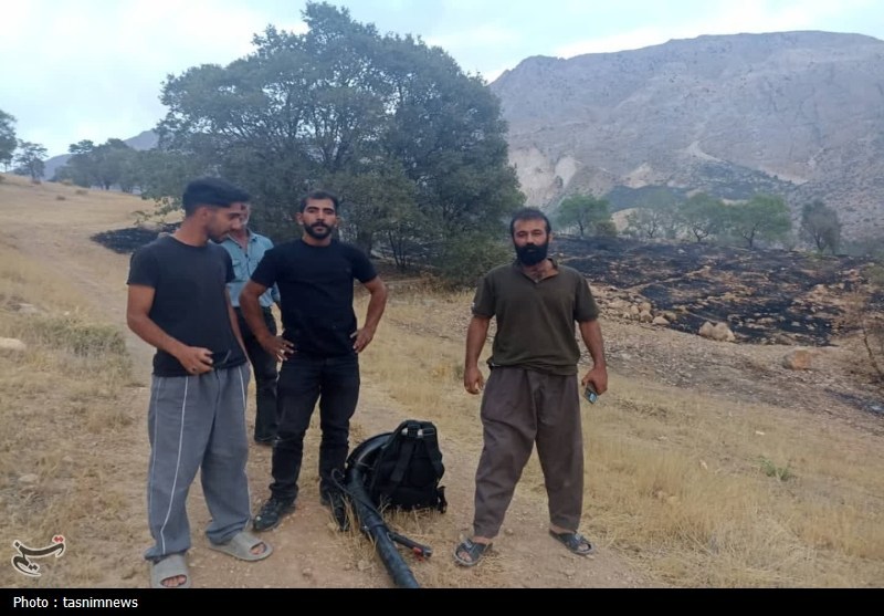 آتش سوزی جنگل ها و مراتع , جنگل , 
