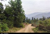 «امید در دل کوهستان»: تحولی جهادی در دهستان حویق تالش