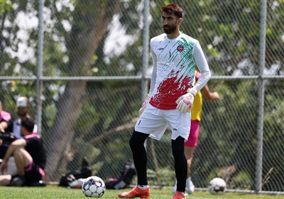 باشگاه،بيرانوند،پرونده