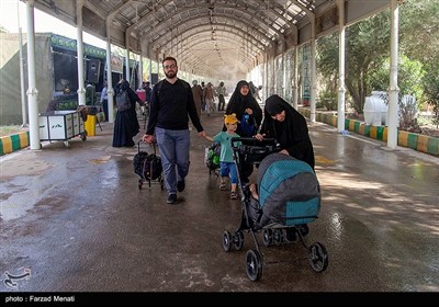 زائران اربعین حسینی در مرز خسروی