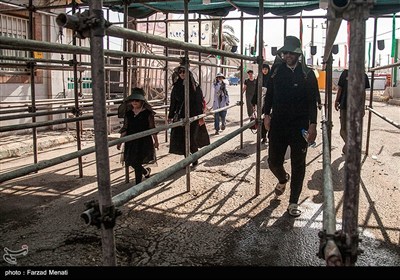 زائران اربعین حسینی در مرز خسروی