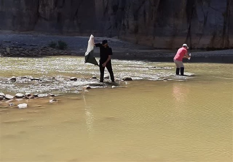 فاز آزمایشگاهی مطالعات جامع آبزی‌پروری در اربیل آغاز شد