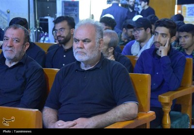 دومین همایش بین‌المللی خانواده و جوانی جمعیت در نجف
