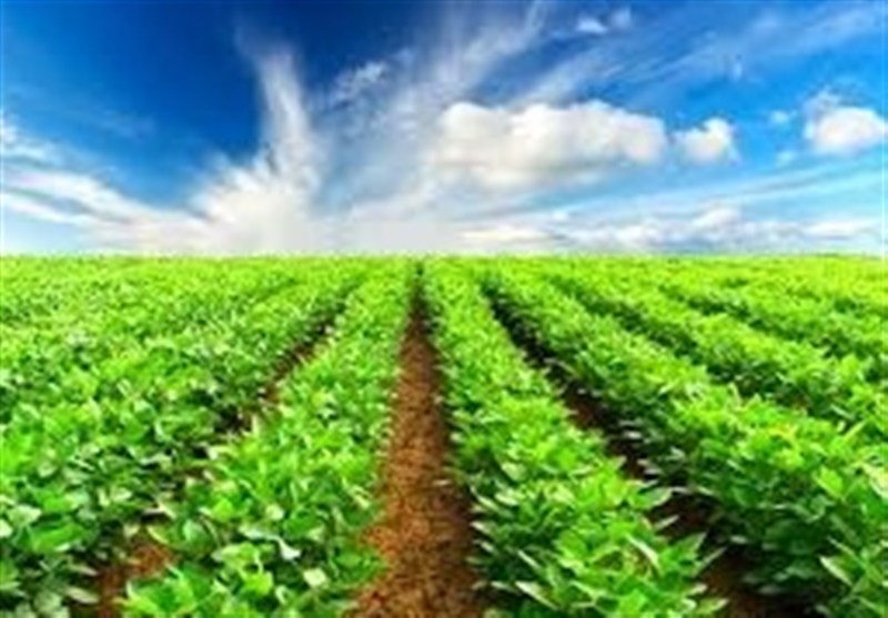 لازم است ضریب نفوذ دانش و علم در بخش کشاورزی ارتقا یابد