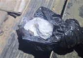 نظامیان صهیونیست در حال توزیع مواد مخدر دستگیر شدند