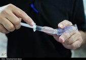 کادر درمان رودان خادمان بی ادعای سلامت در اربعین حسینی
