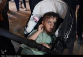 حضور کودکان در مسیر اربعین