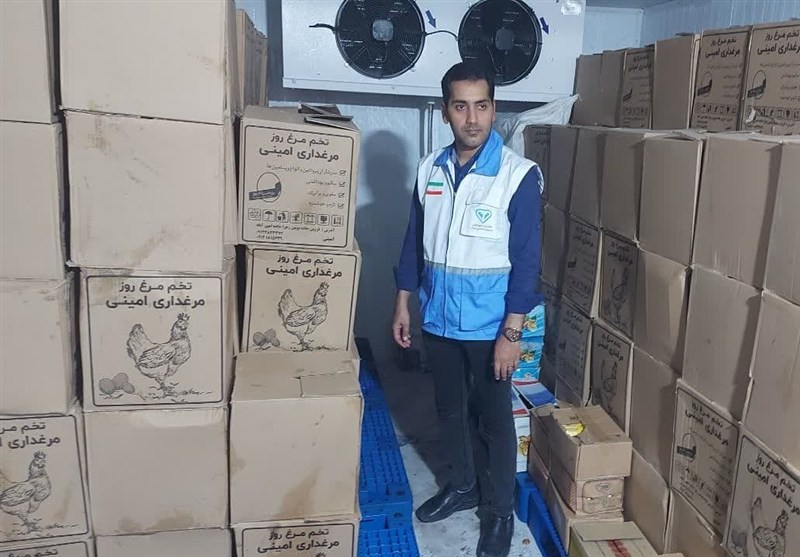 ضبط محموله 4.5 تنی تخم‌مرغ غیربهداشتی در عسلویه