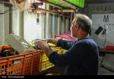 خدمت‌رسانی موکب علی بن باقر کاشان به زائران اربعین در کربلا