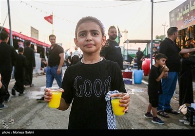 پیاده‌روی اربعین حسینی در مسیر دیوانیه به کربلا