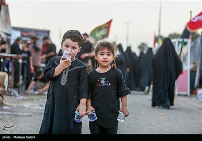 پیاده‌روی اربعین حسینی در مسیر دیوانیه به کربلا