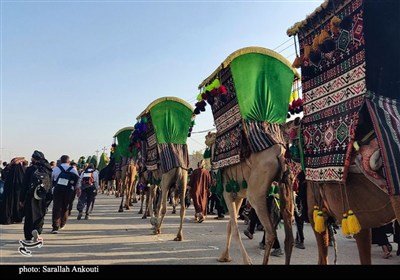 حال و هوای زائران و موکب داران اربعین حسینی در مسیر کربلا