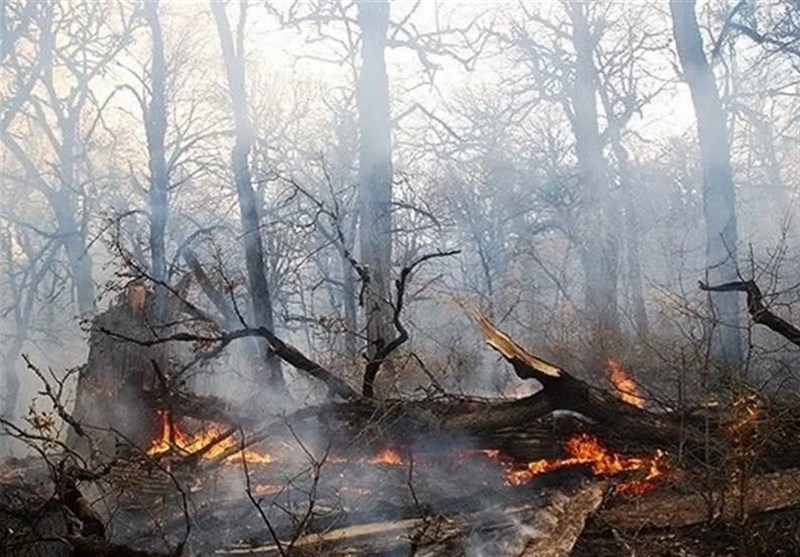 هشدار آتش‌سوزی در منابع طبیعی اردبیل