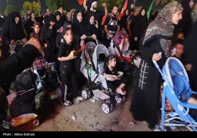 زائران بوشهری در کربلا؛ از اشک‌های عاشقانه تا خدمت‌رسانی بی‌منت