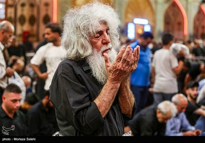 حرم مطهر حضرت علی (ع) در آستانه اربعین حسینی